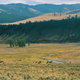 Bison range in Yellowstone National Park, summer 2019. Shot on the writer’s old iPhone’s not-that-impressive camera.